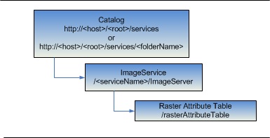 Raster Attribute Table